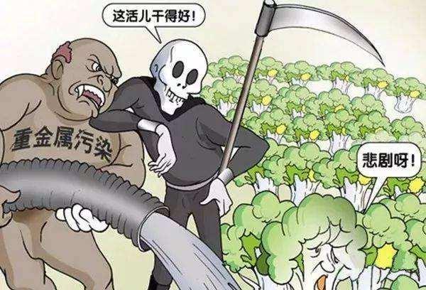  糧食安全如何得到保障？